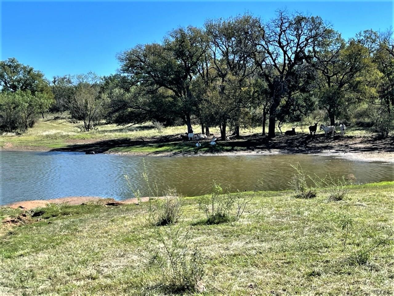 42.4 acres in Llano County, Texas