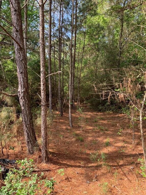 2.78 acres in Waller County, Texas