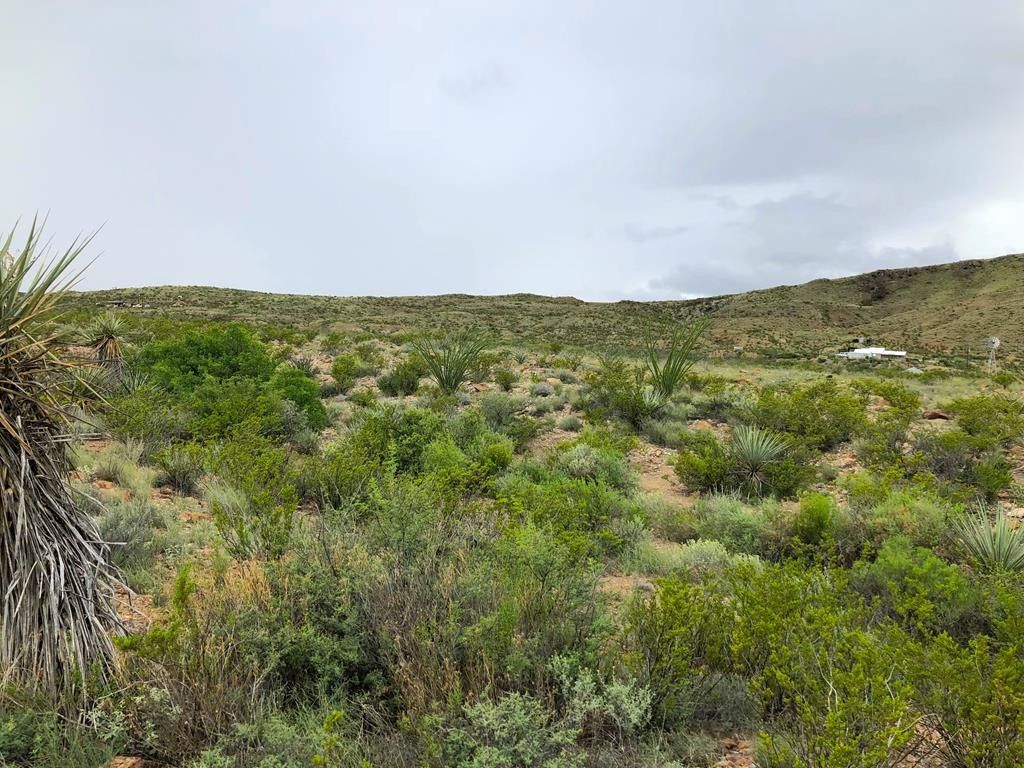 20 acres in Brewster County, Texas