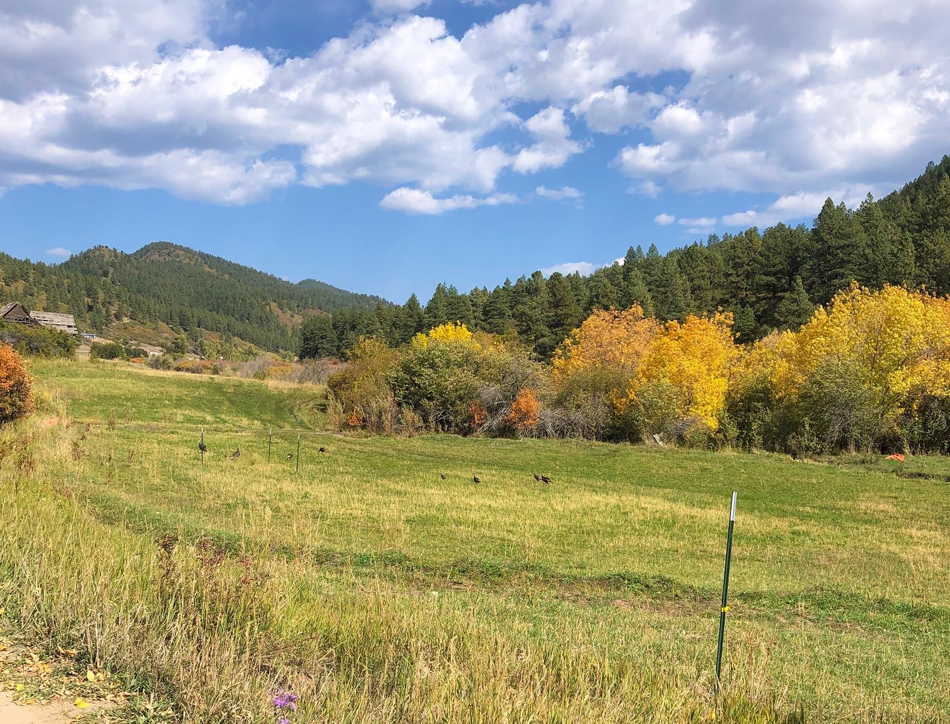 82 acres in La Plata County, Colorado