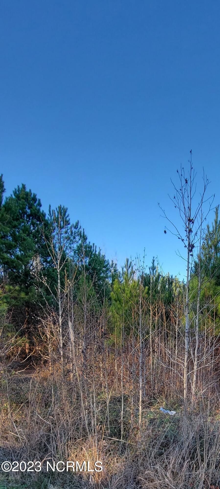 5.49 acres in Bladen County, North Carolina