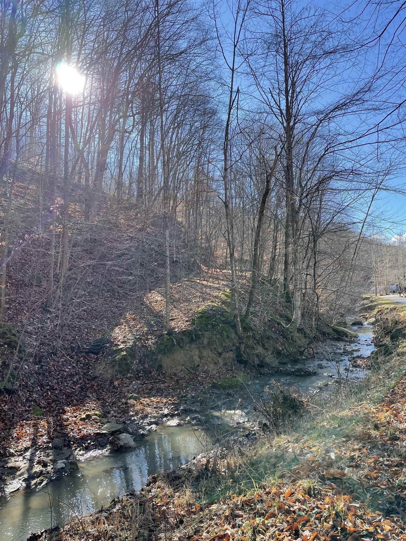 40 acres in Wayne County, West Virginia