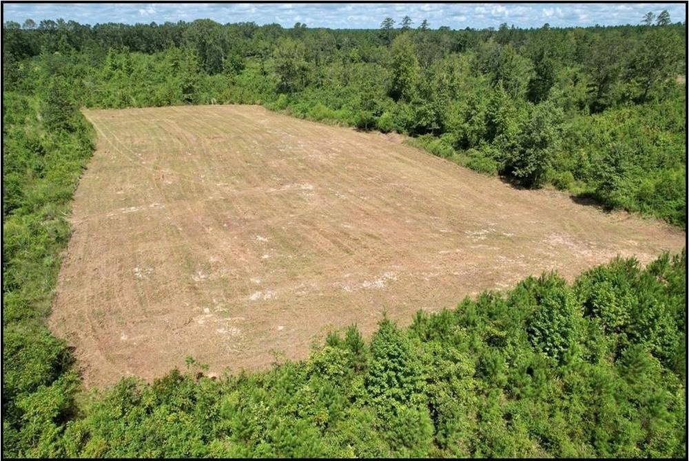 23.2 acres in Lincoln County, Mississippi