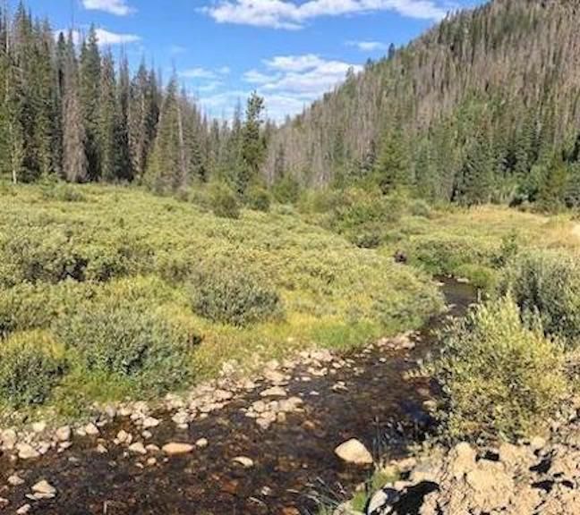 20 acres in Eagle County, Colorado