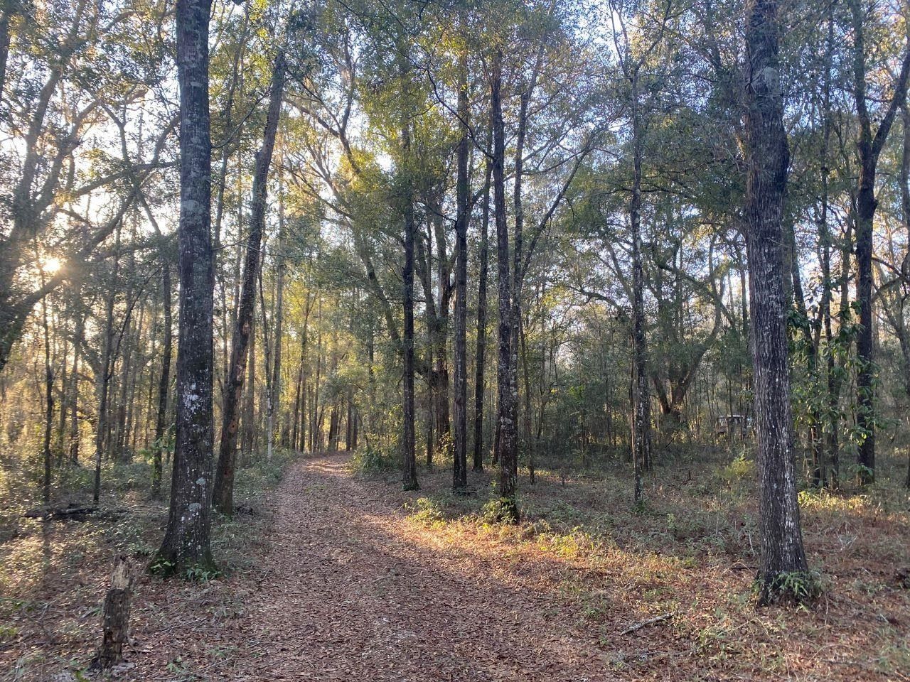 5 acres in Madison County, Florida