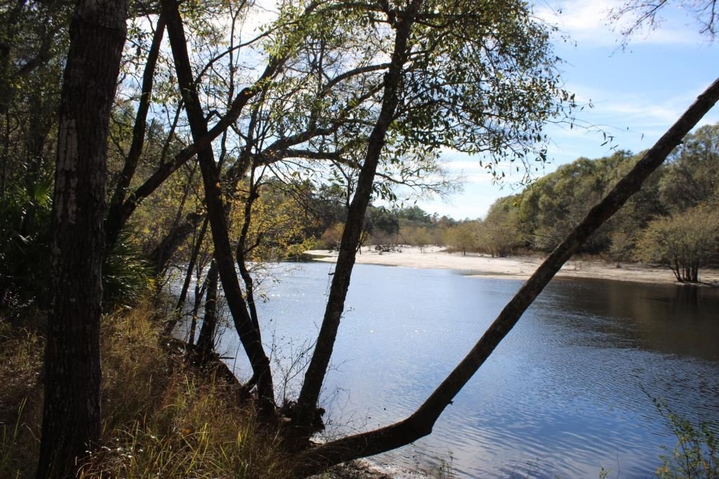 2,116 acres in Waynesville, GA, 31566 MLS B436Brantley CoGA