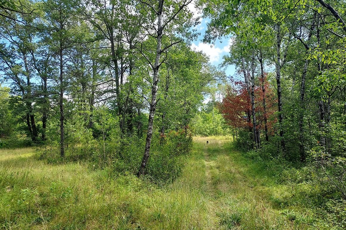 8.08 acres in County, Wisconsin
