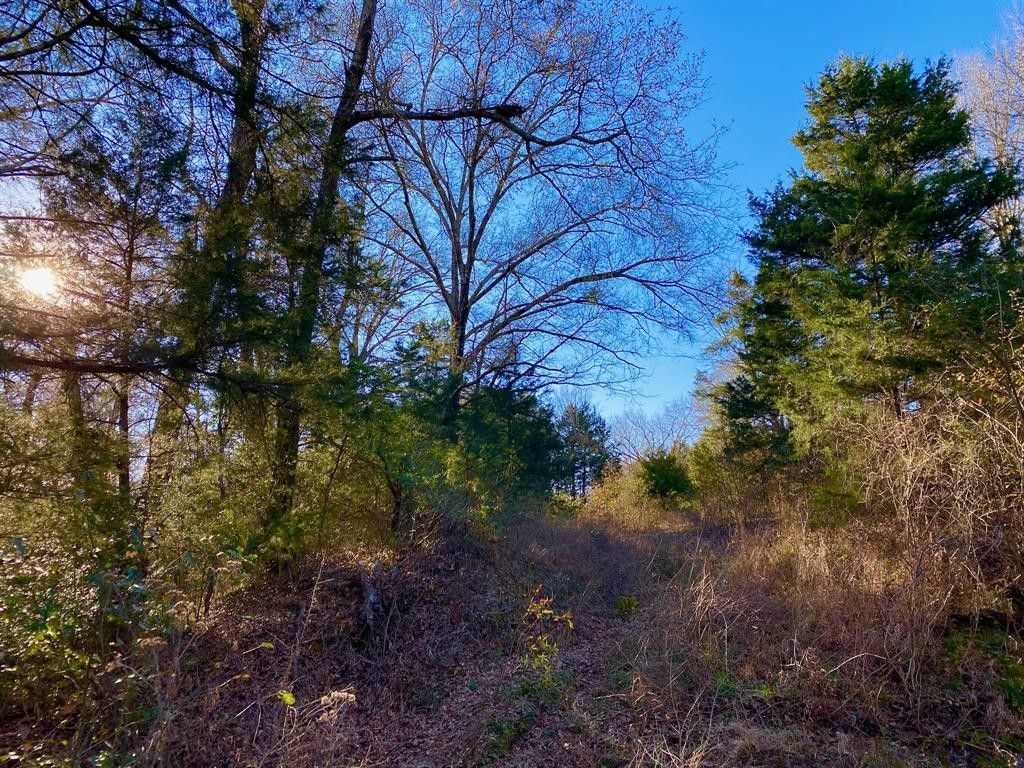 10.65 acres in Freestone County, Texas