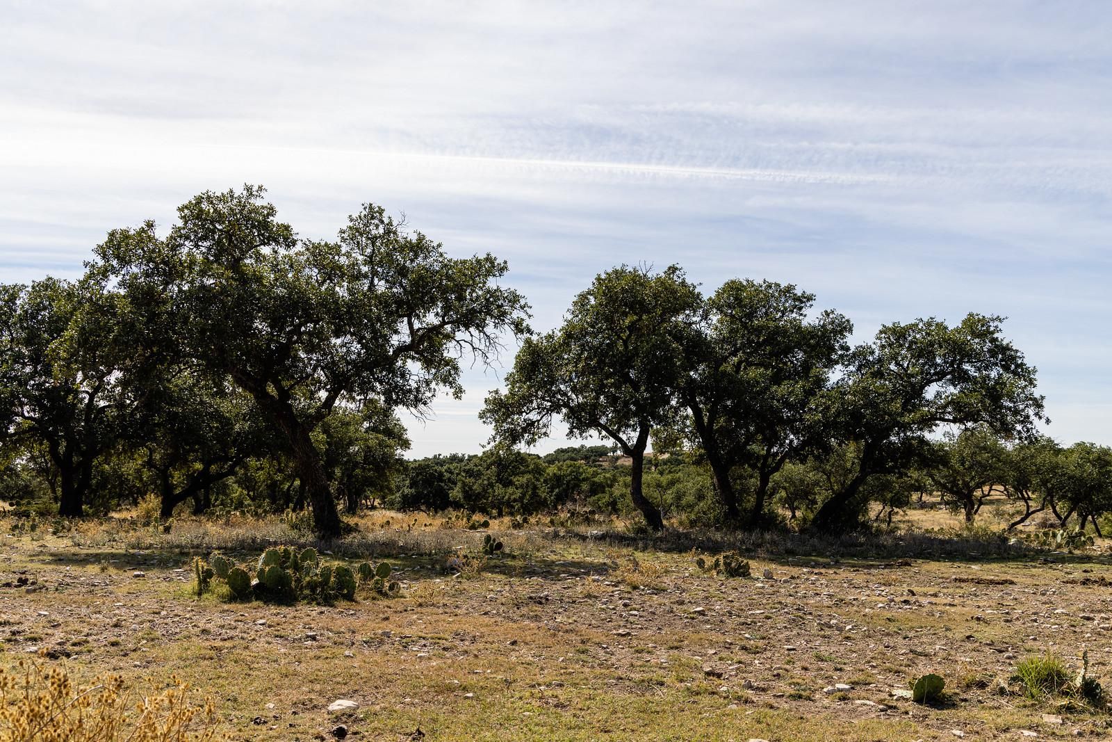 54.7 acres in Roosevelt, TX, 76874 MLS F107921A