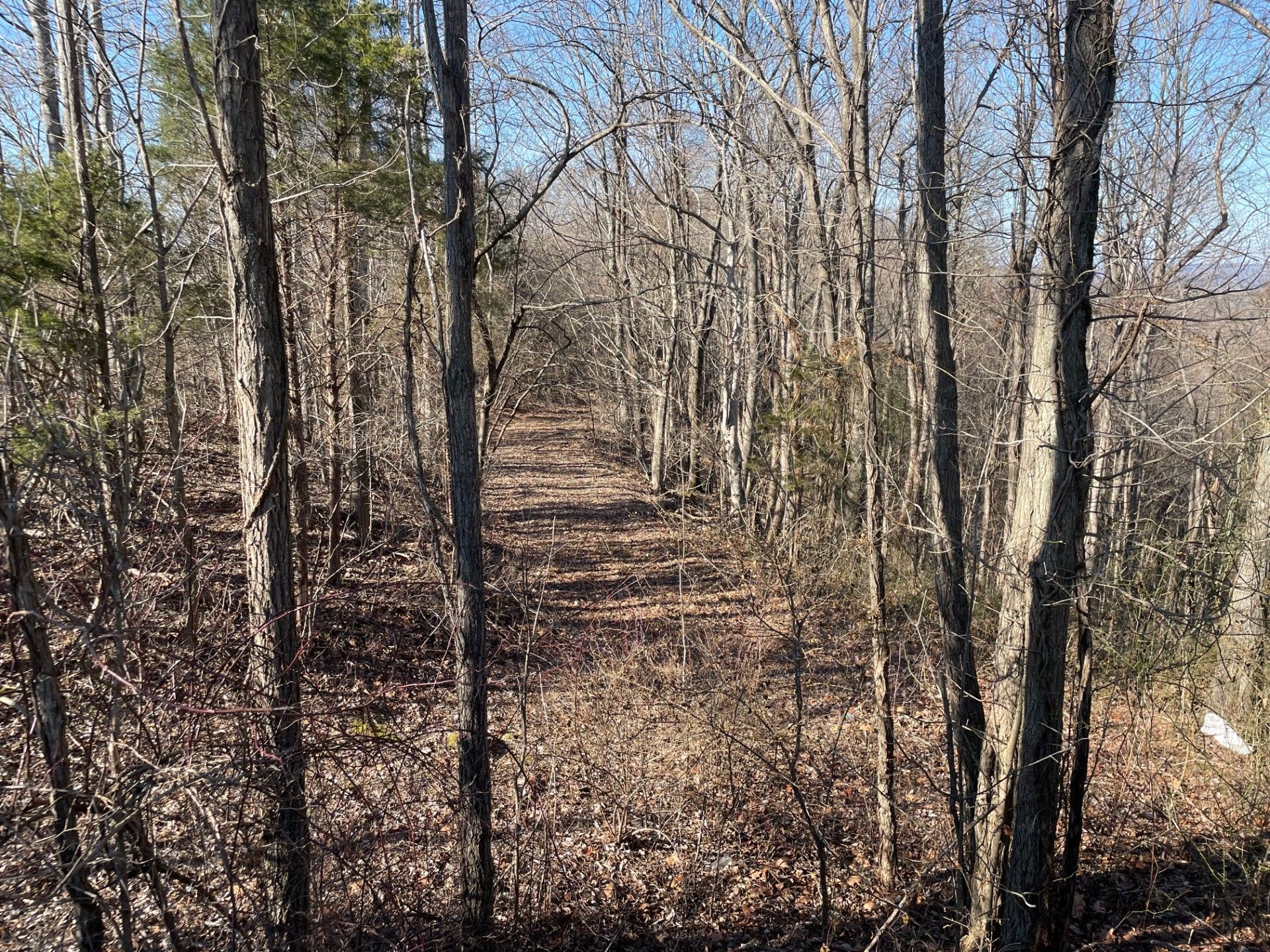 10.73 acres in Cumberland County, Kentucky