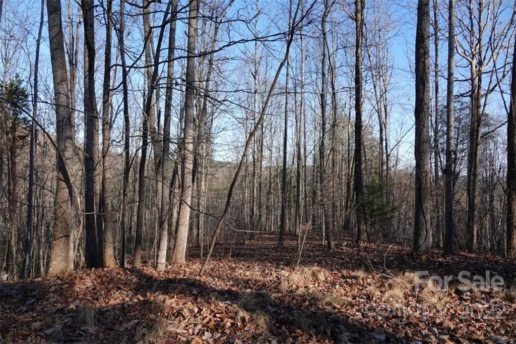 7.91 acres in Rutherford County, North Carolina