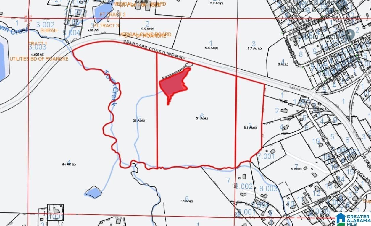 63 acres in Randolph County, Alabama