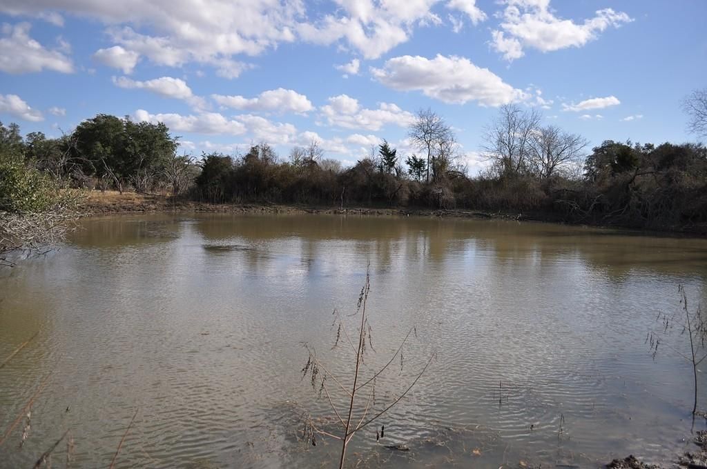 9 acres in Fayette County, Texas