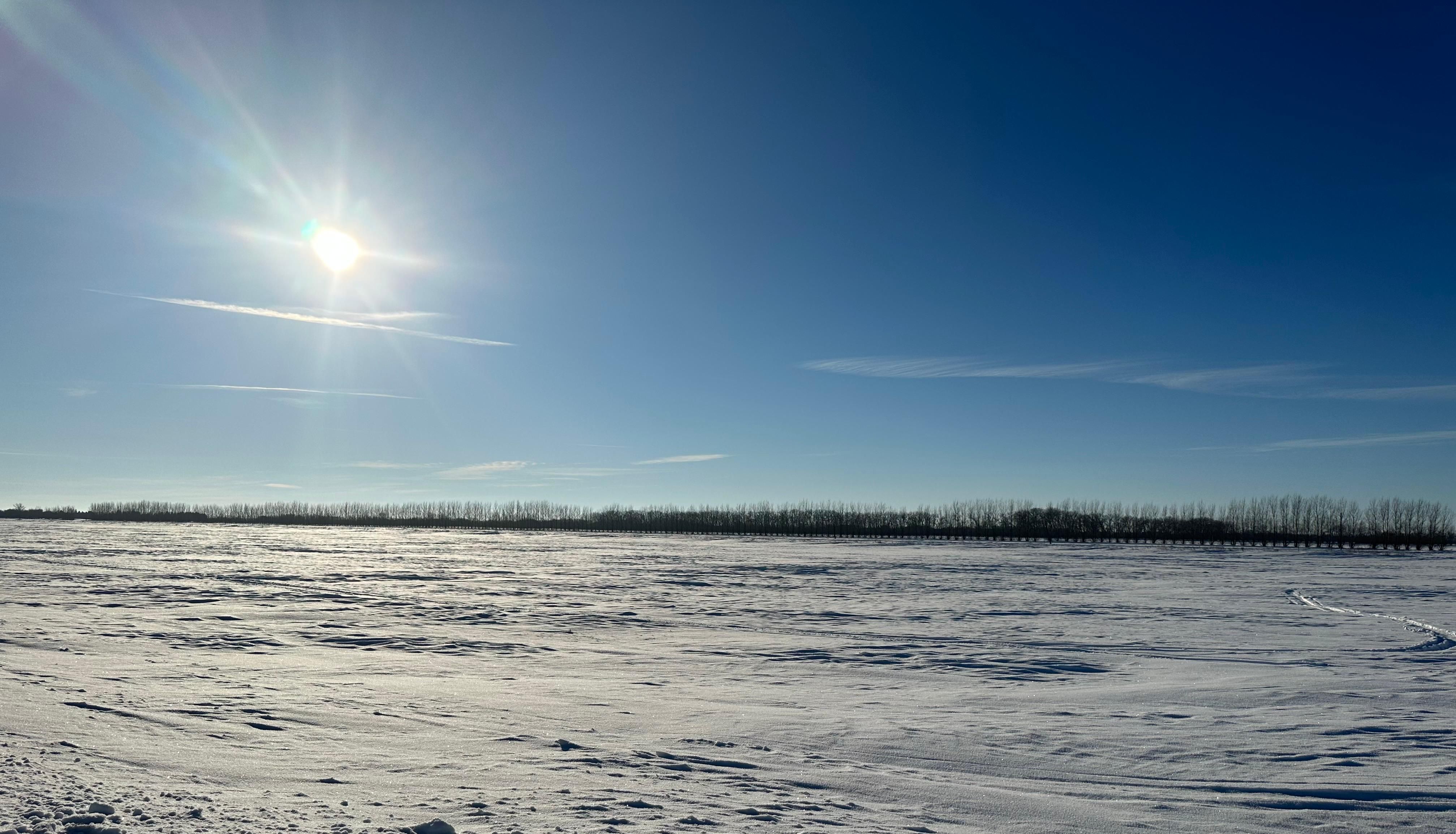 194 acres in Pembina County, North Dakota