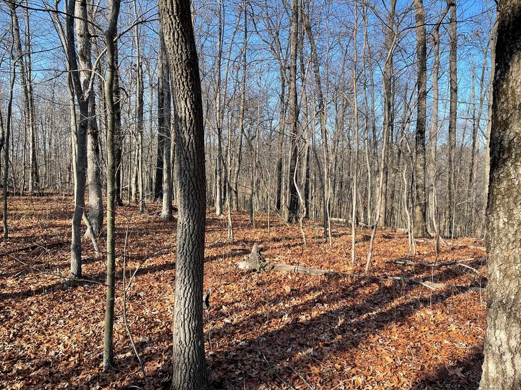 4 acres in Putnam County, Tennessee