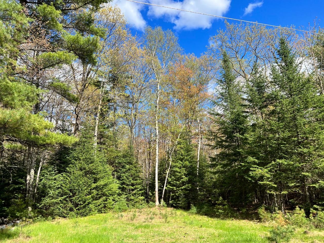 3 acres in Vilas County, Wisconsin