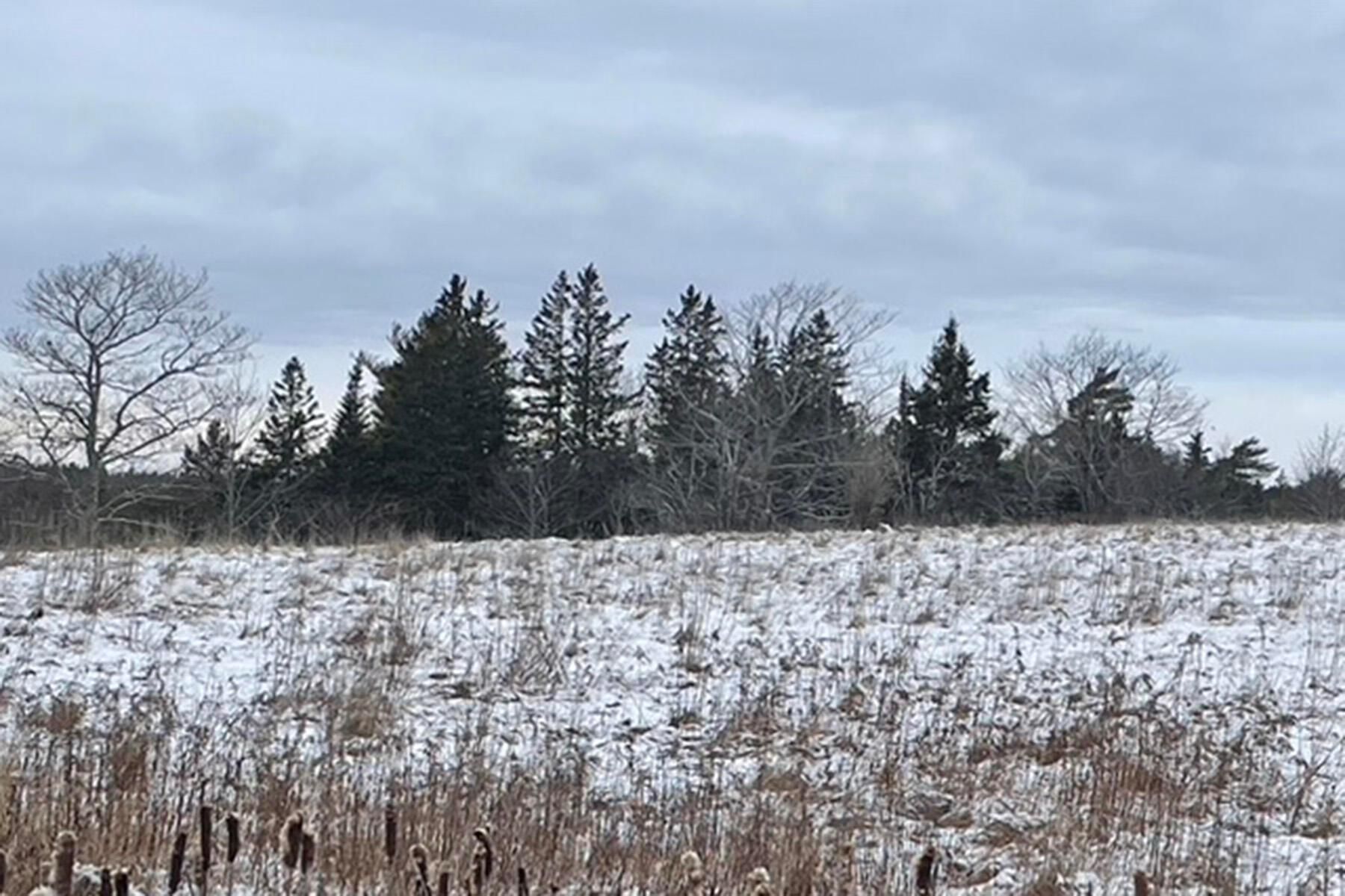 7 acres in Hancock County, Maine