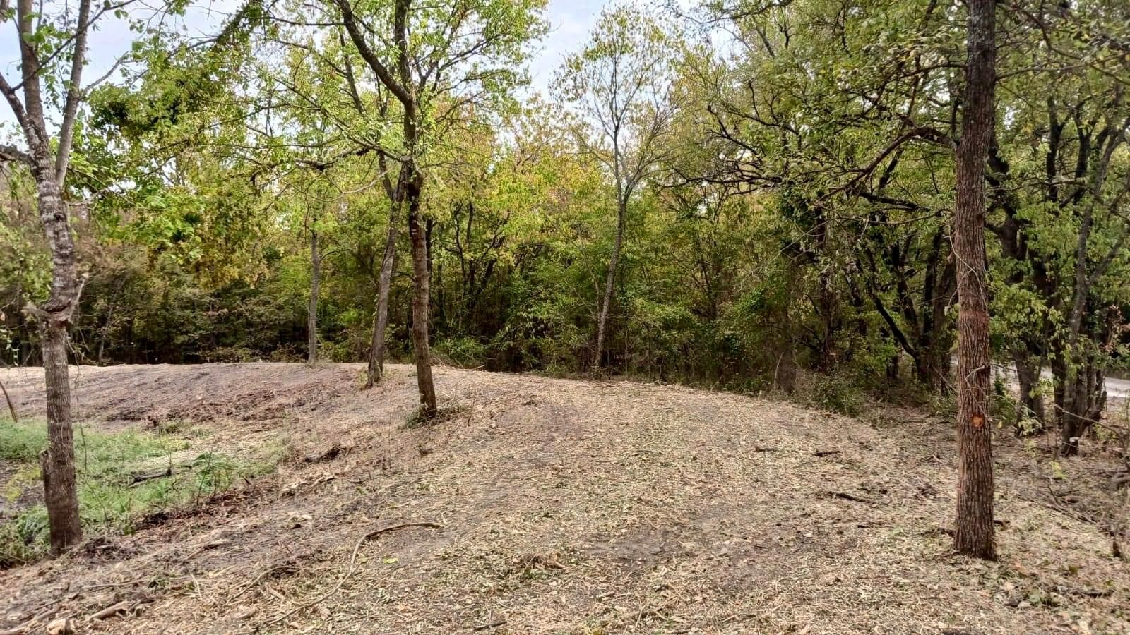 County Road 4519, Wolfe City, TX 75496 MLS 20184331