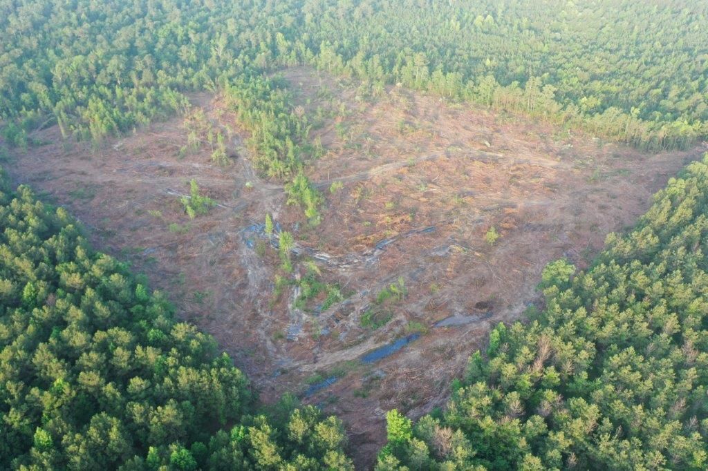 29 acres in Clark County, Arkansas