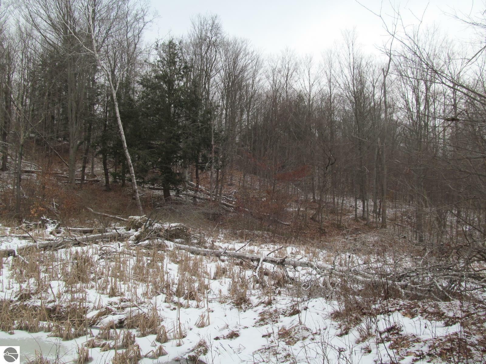 10 acres in Wexford County, Michigan