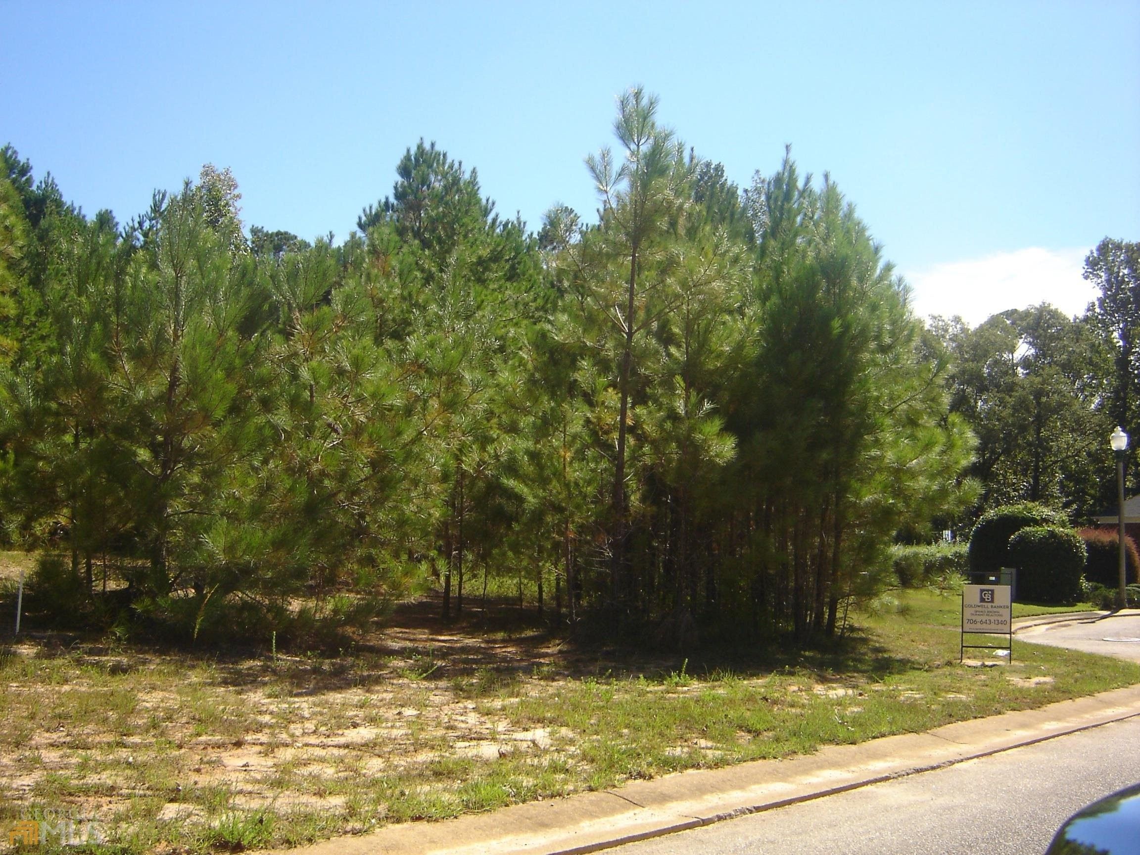 4.24 acres in Chambers County, Alabama