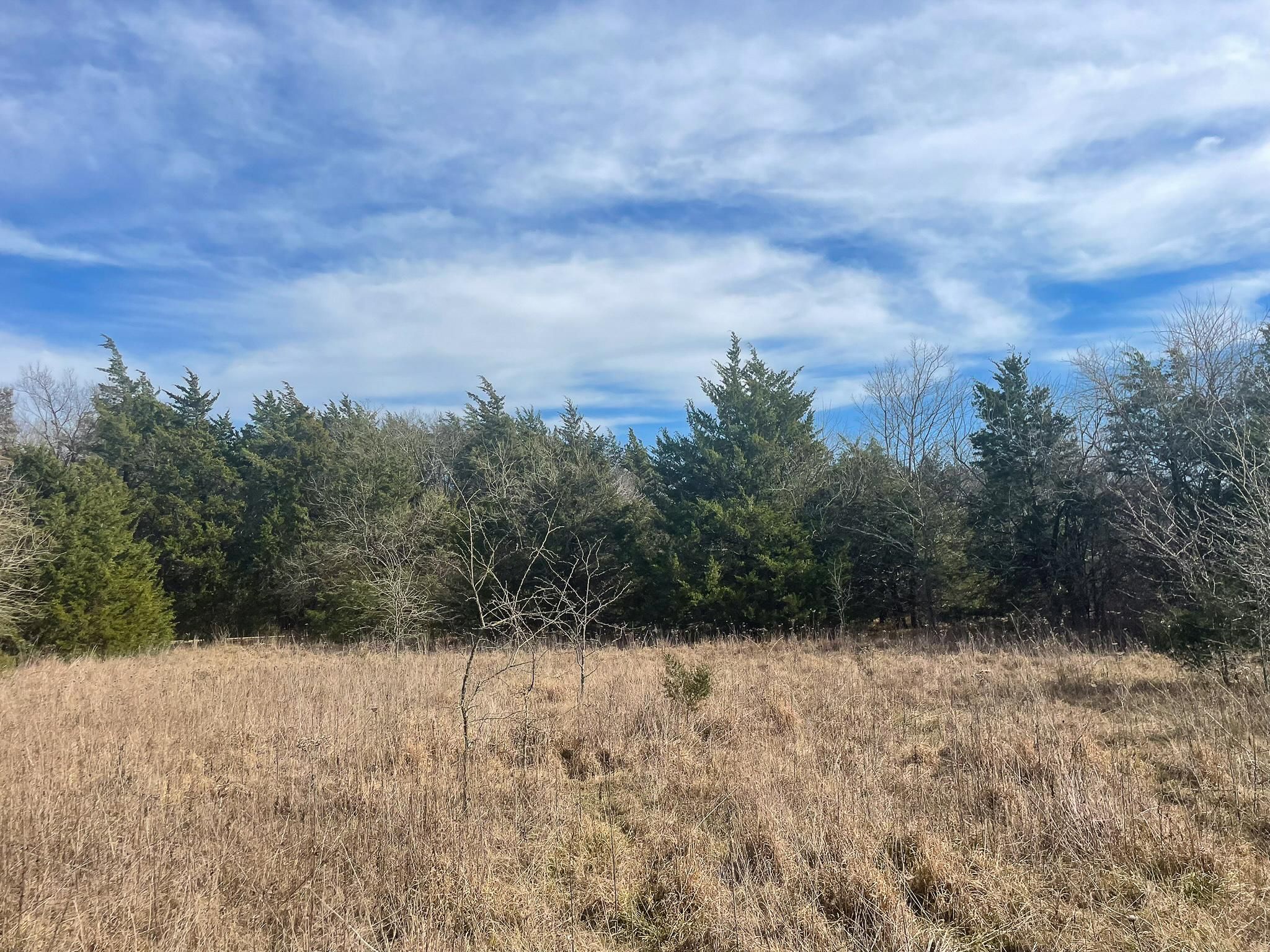 20 acres in Lamar County, Texas