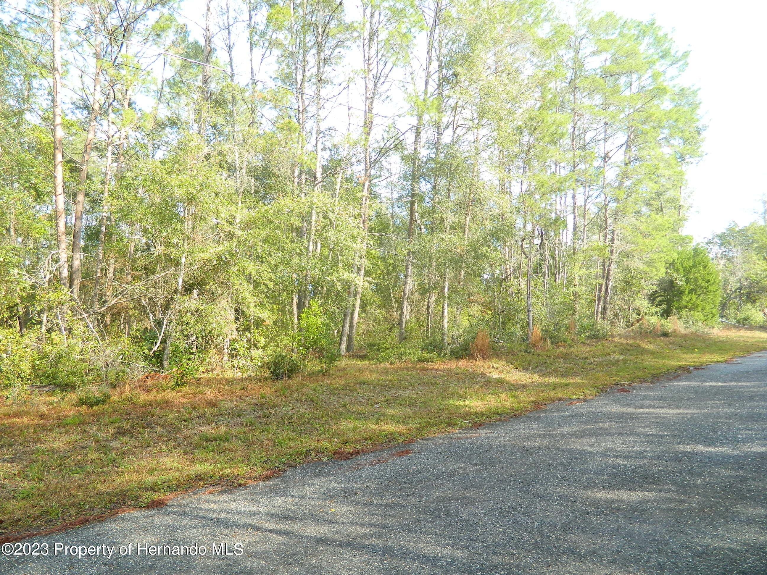 5 acres in Hernando County, Florida