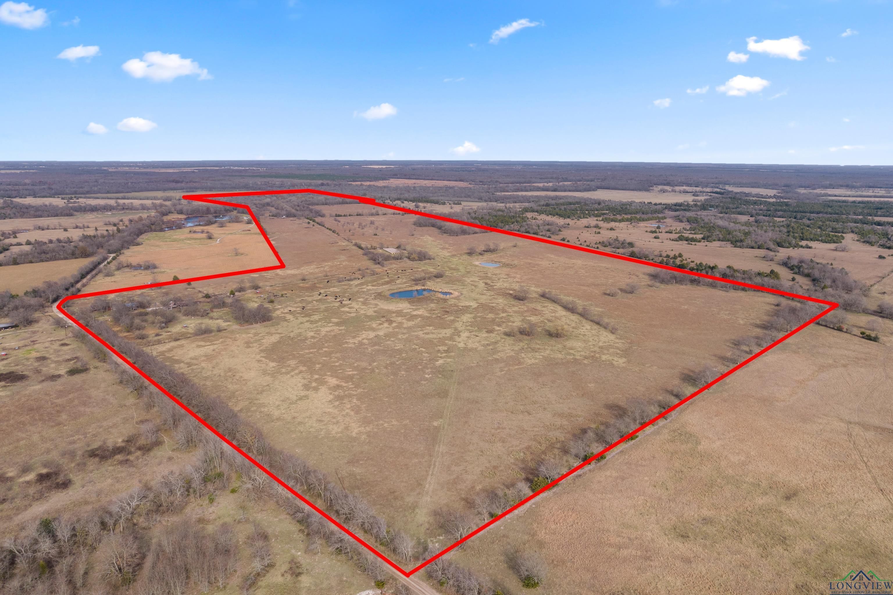 590 County Road 15160, Blossom, TX 75416 MLS 20216813