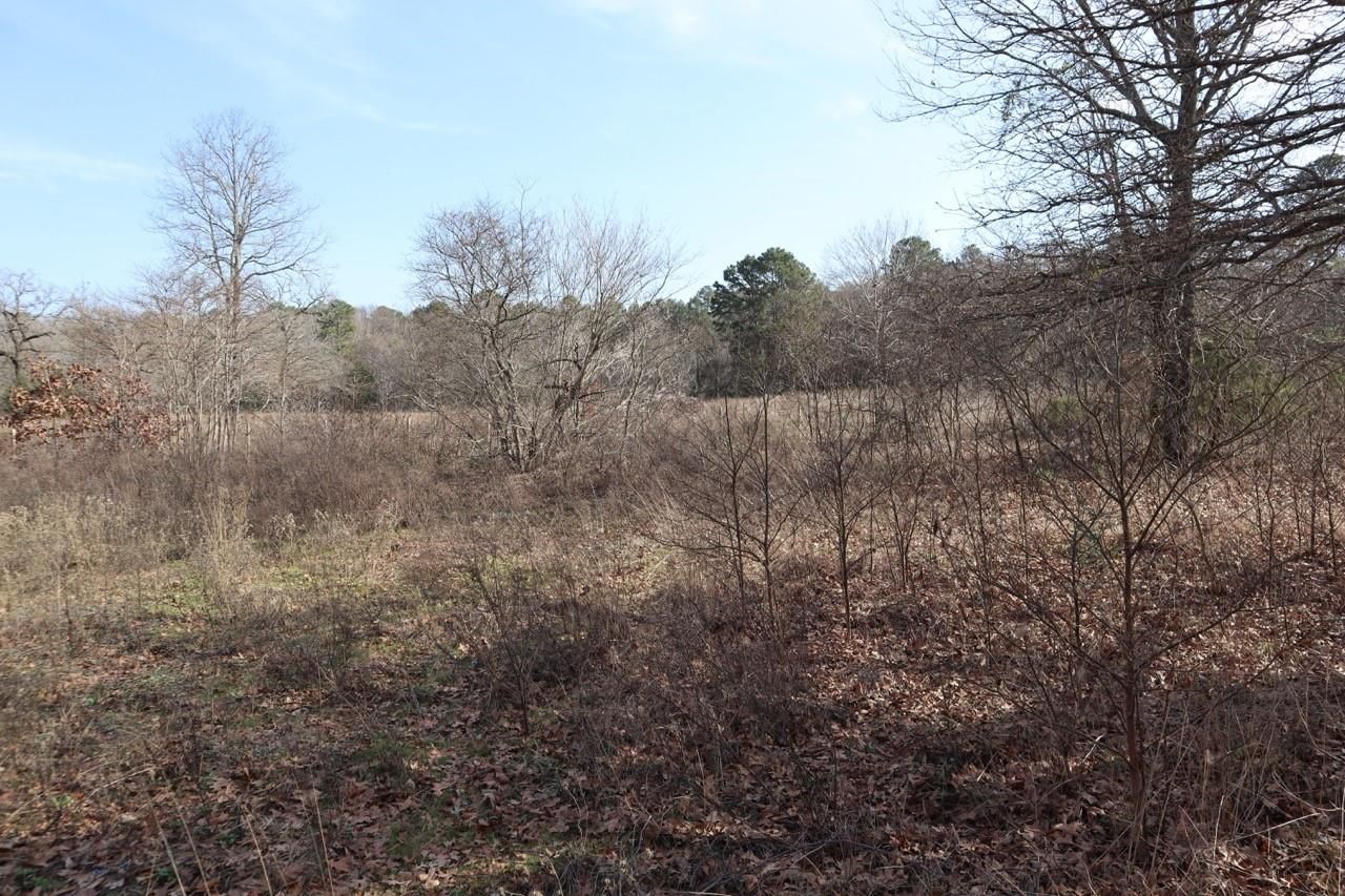 3.5 acres in Wood County, Texas