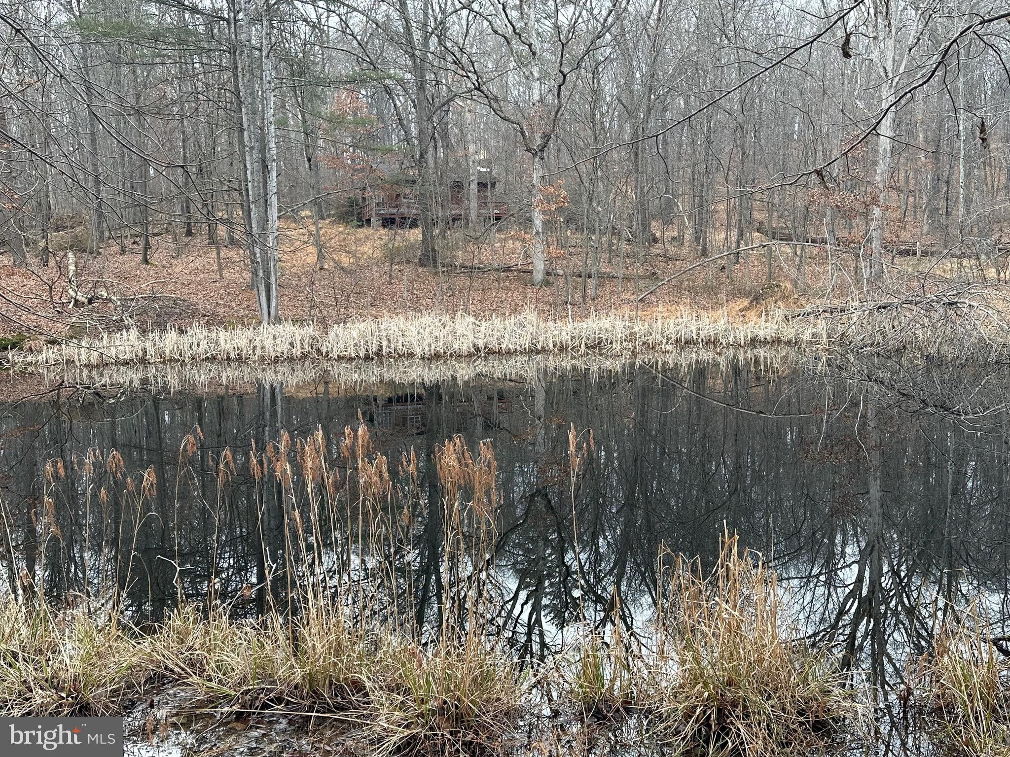 52 acres in Frederick County, Virginia