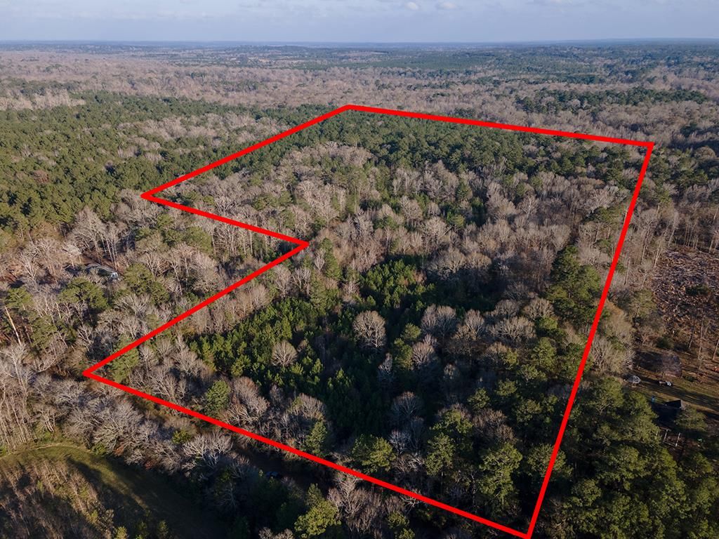 482 Barnum Blvd, Corrigan, TX 75939 MLS 68136