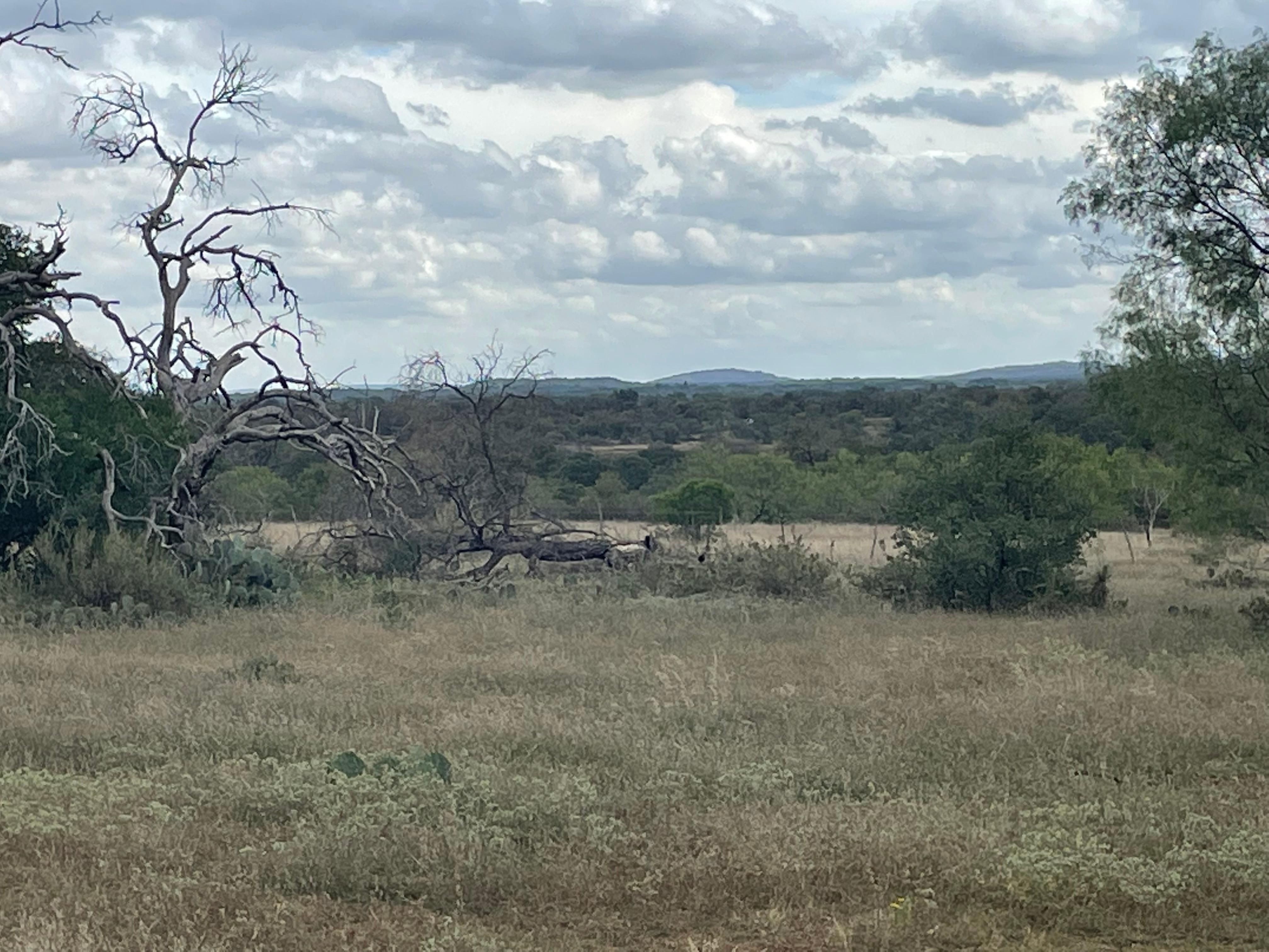 38.5 acres in Llano County, Texas