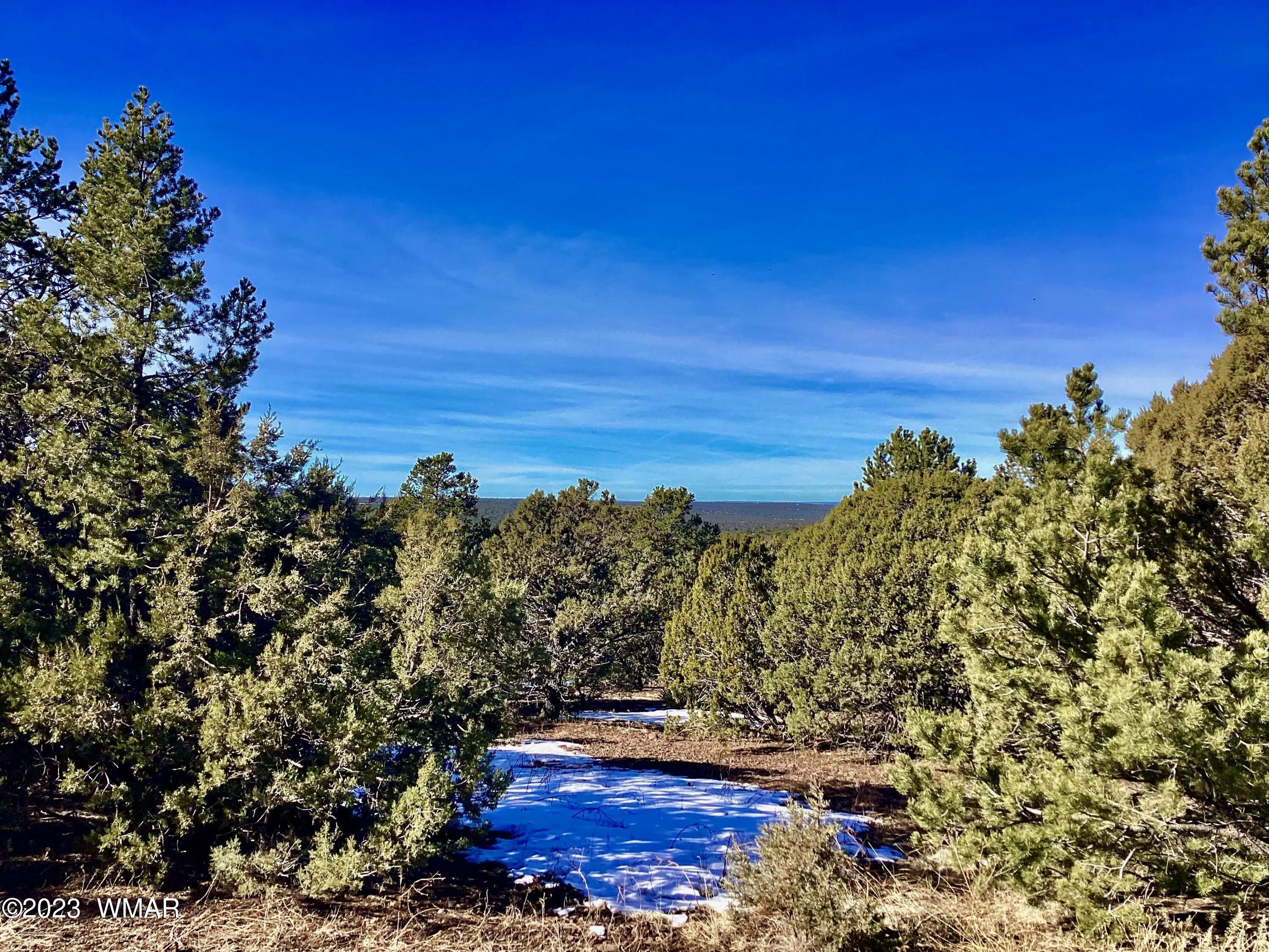 3 acres in Apache County, Arizona