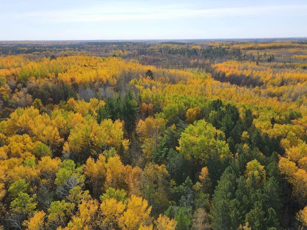 200 acres in Hubbard County, Minnesota