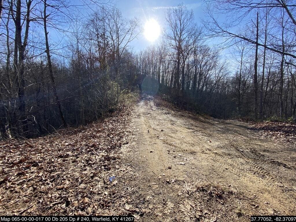 45 acres in Martin County, Kentucky