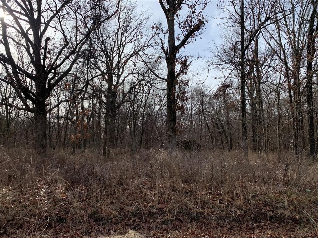 40 acres in Delaware County, Oklahoma