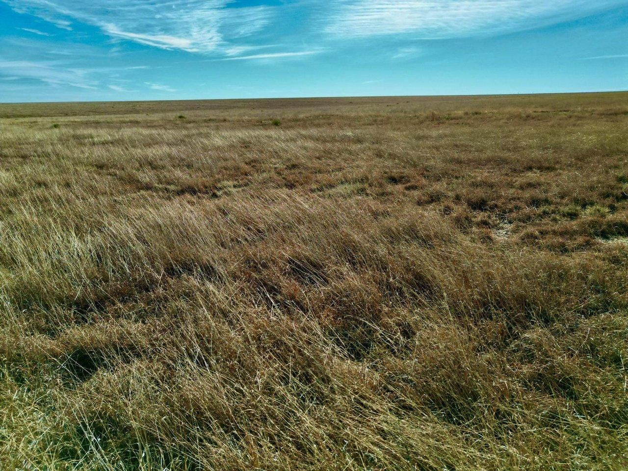 320 acres in Prowers County, Colorado
