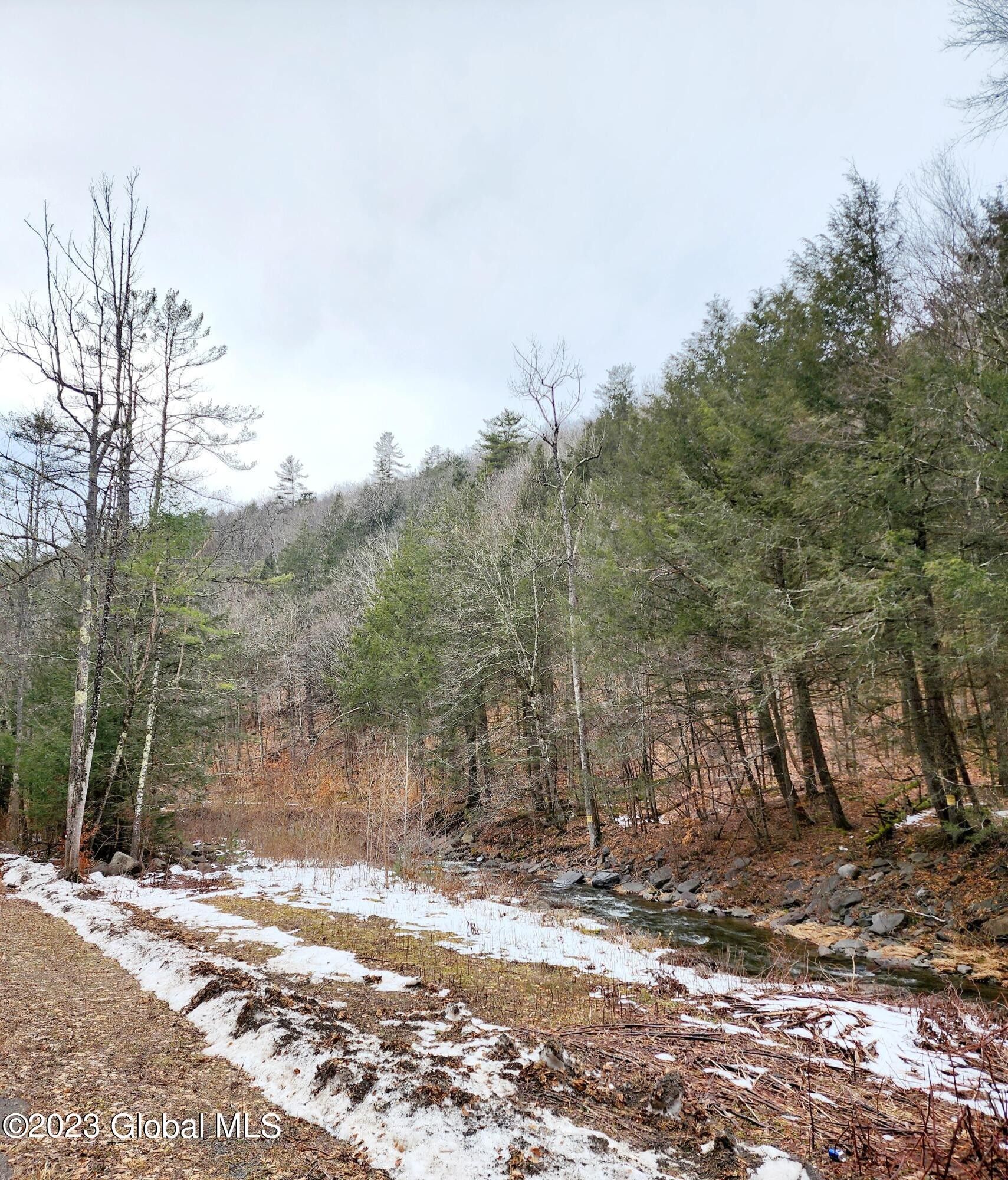 101.72 acres in Schoharie County, New York