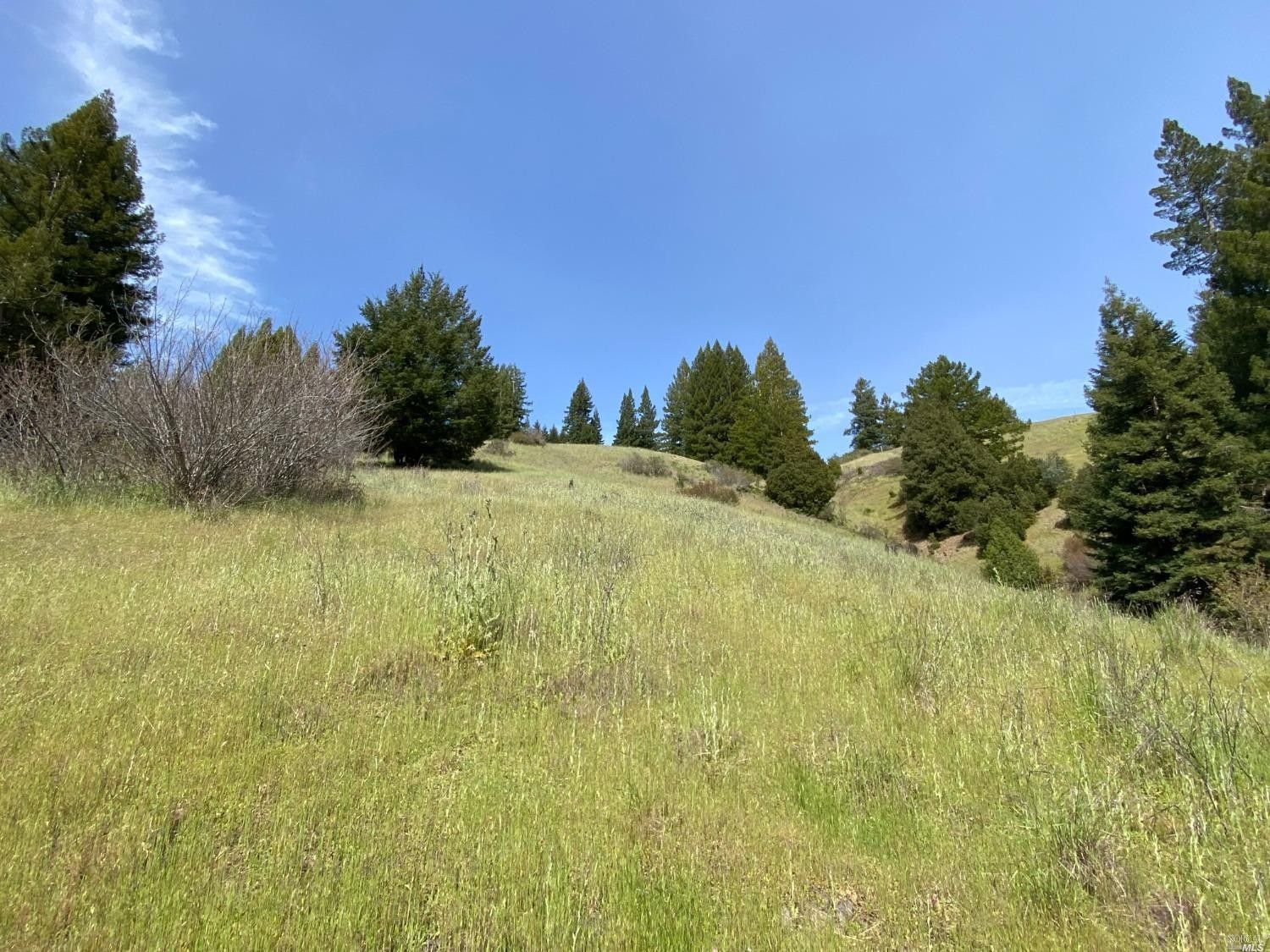 10.17 acres in Mendocino County, California