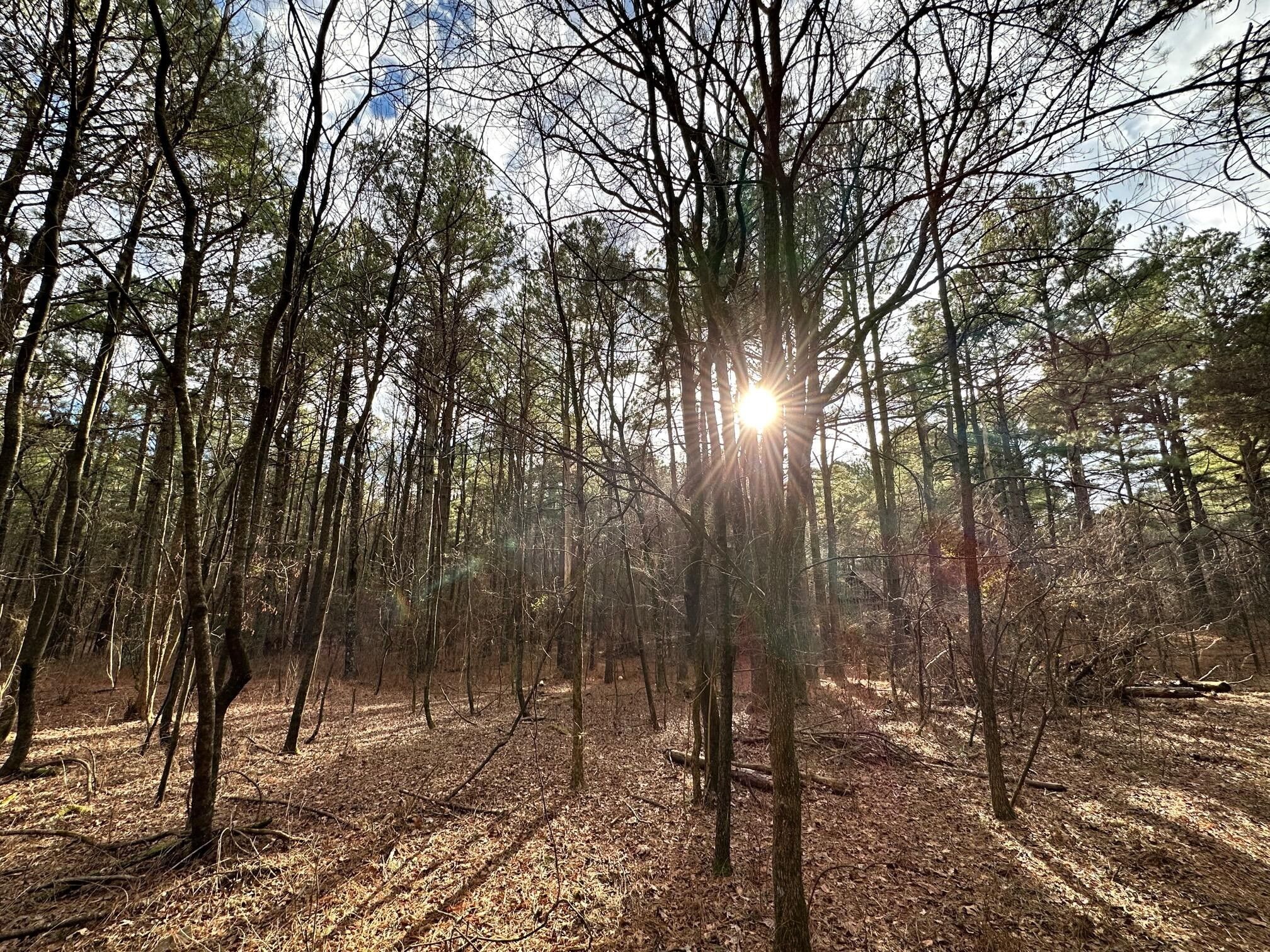 40 acres in Johnson County, Arkansas