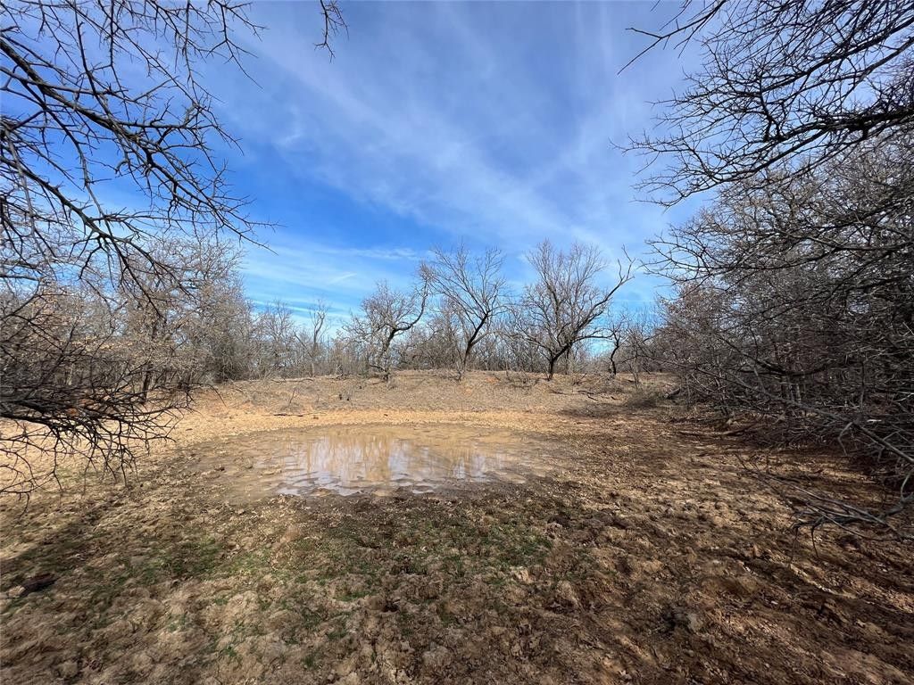 46 acres in Young County, Texas