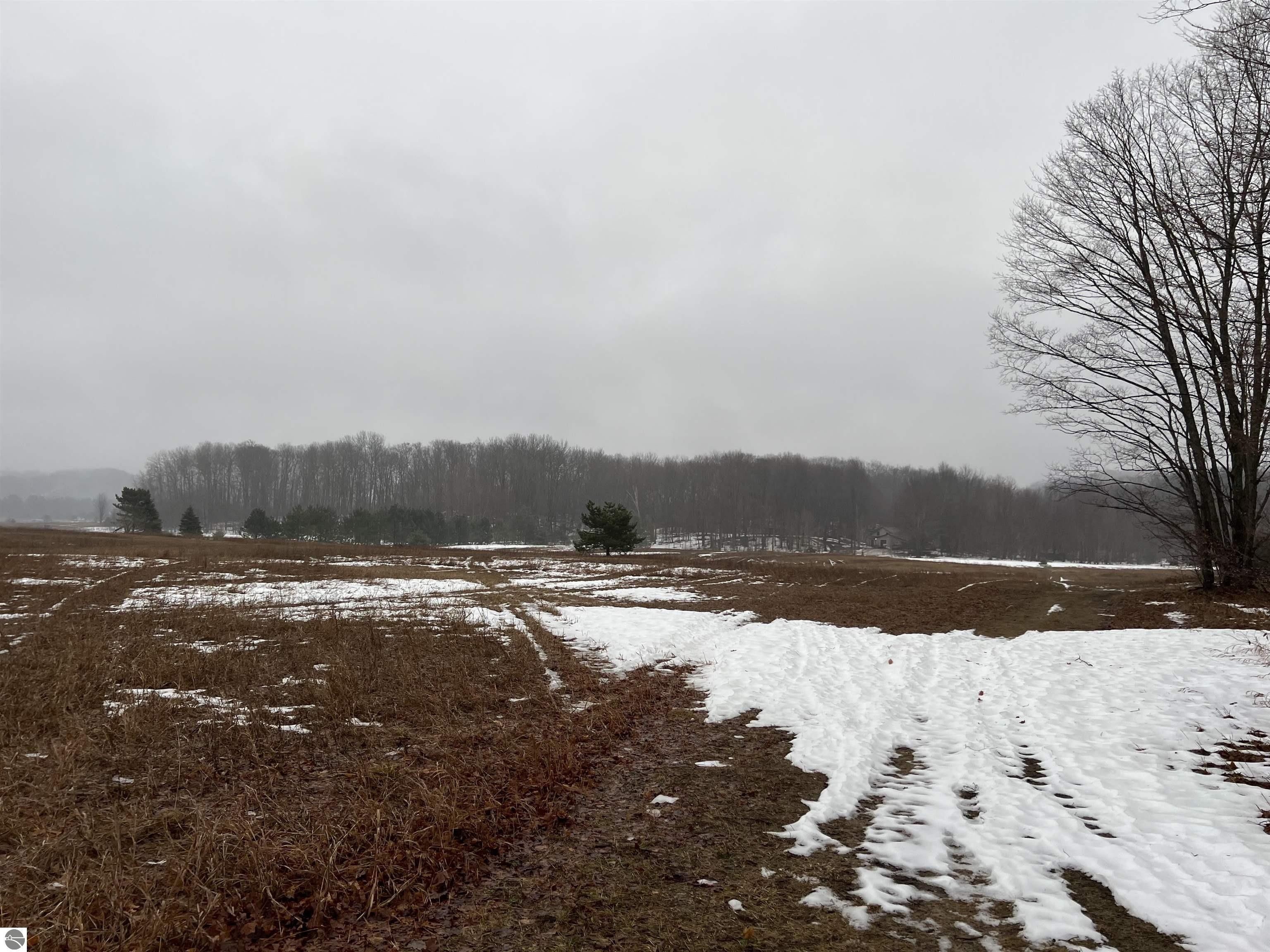 40 acres in Emmet County, Michigan