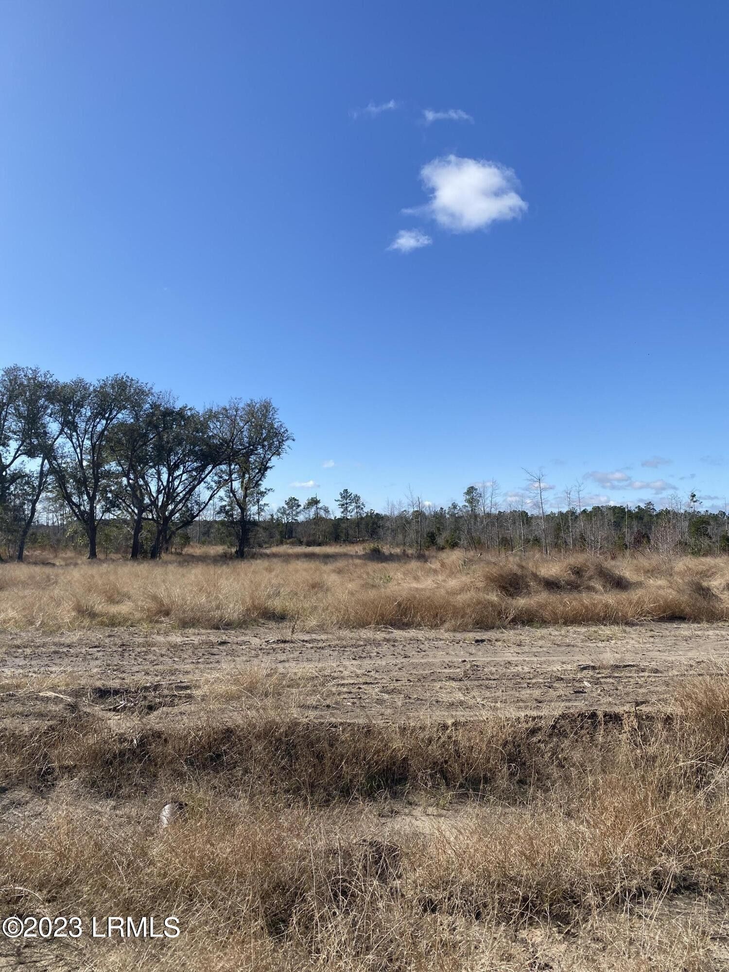 5 acres in Jasper County, South Carolina