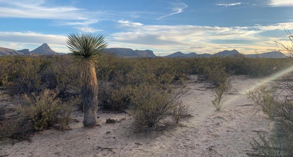96 Redford, Terlingua, TX 79852 MLS 137957