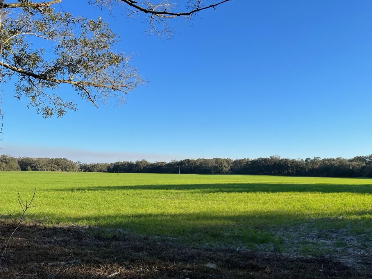 43 acres in Levy County, Florida