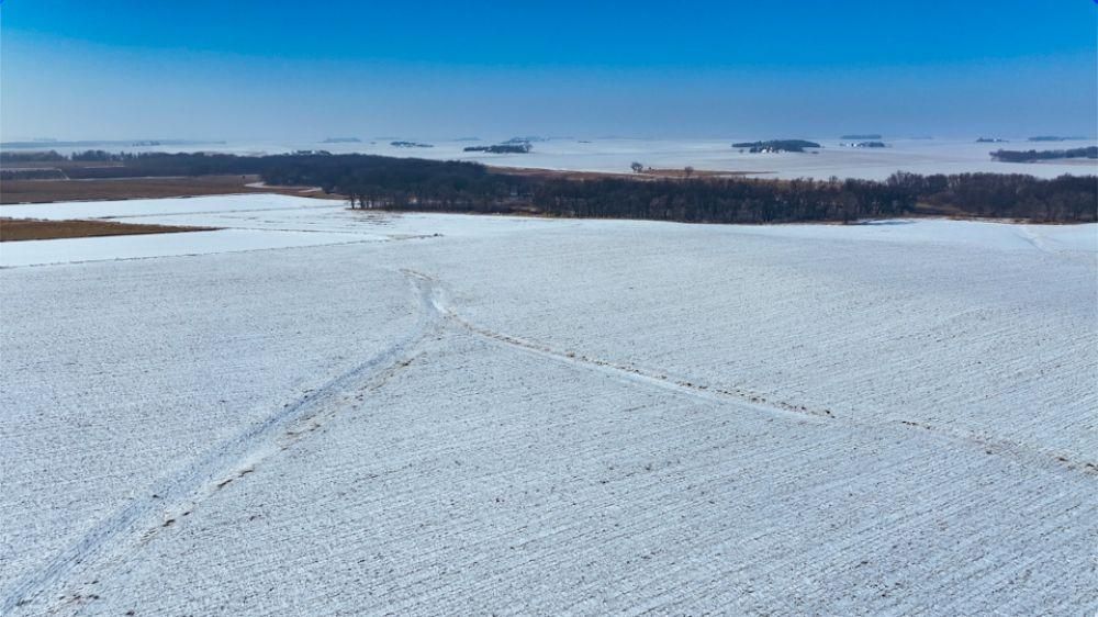 43.8 acres in Grundy County, Iowa