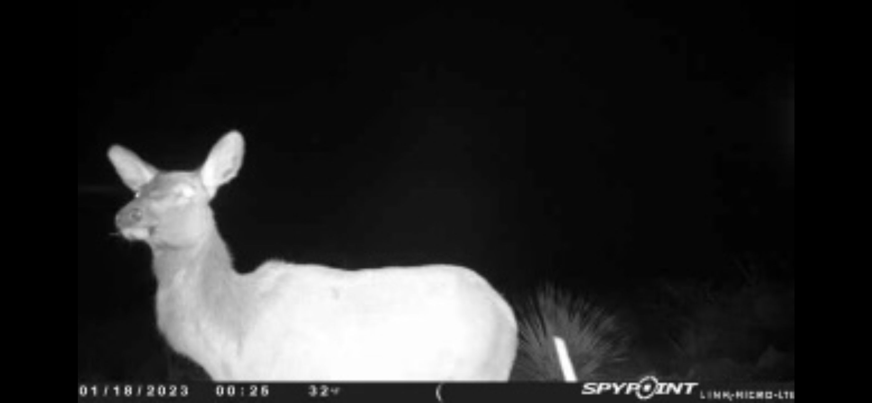 56.05 acres in Sutton County, Texas