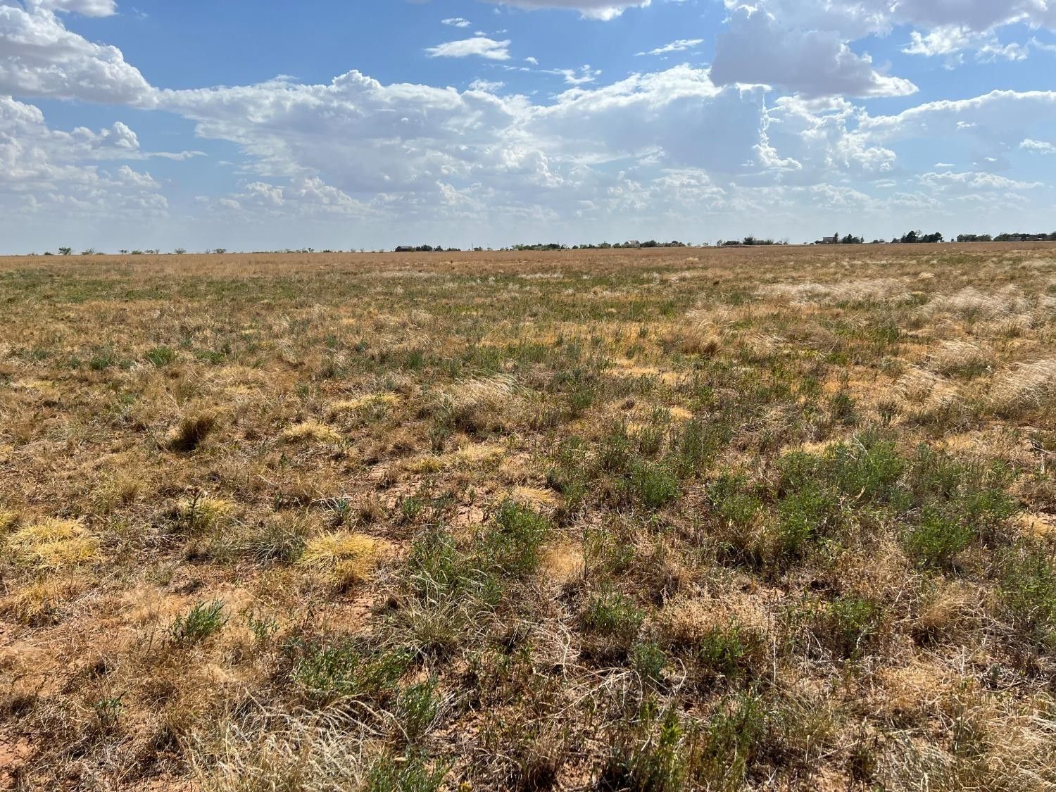 10.01 acres in Hale County, Texas