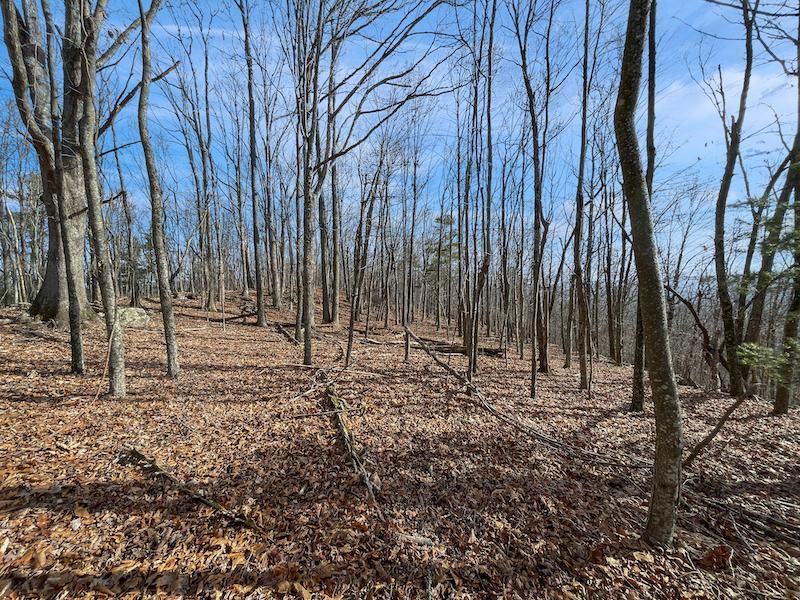 Penny Royal Road, Pilot, VA 24138 MLS 895263