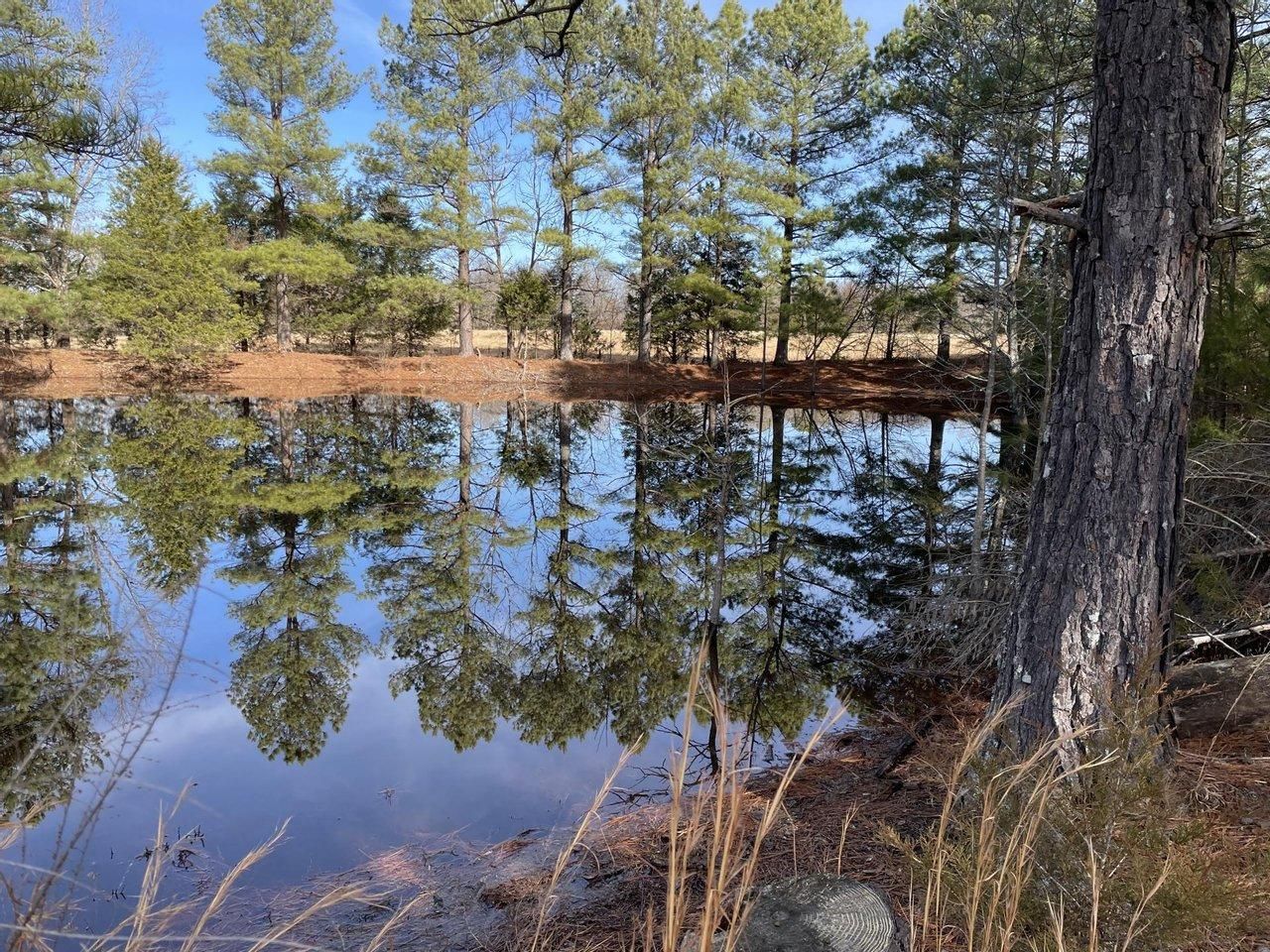 5.18 acres in Sharp County, Arkansas